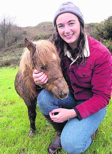 Alice's pony charms Southern Star's huge Facebook audience Image