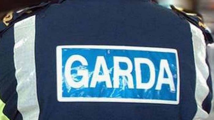 Drugs and cash seized in two searches in West Cork Image