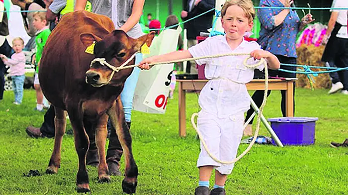 Brothers on Show with TV debut Image