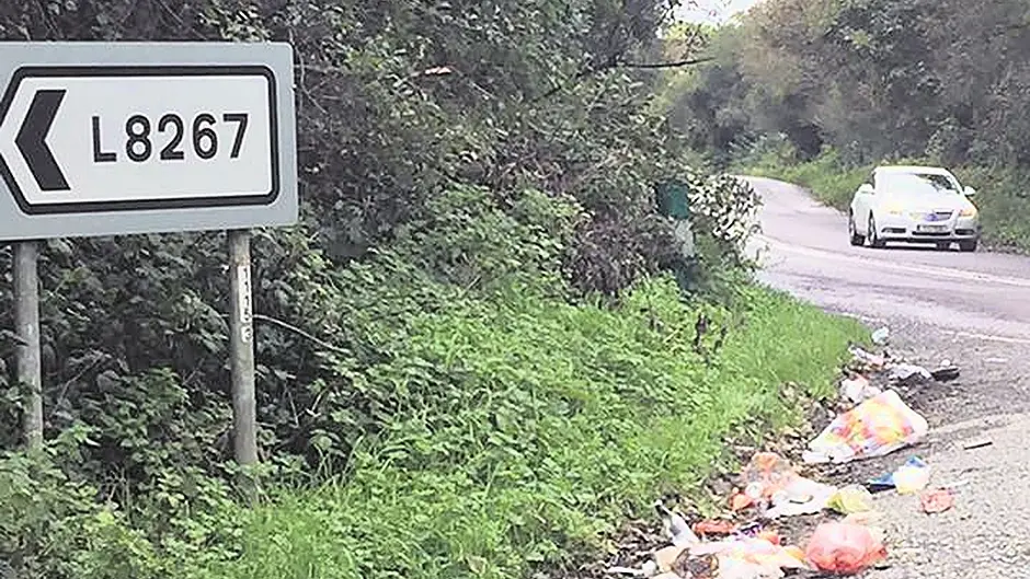 Time litter louts were ‘named and shamed' Image
