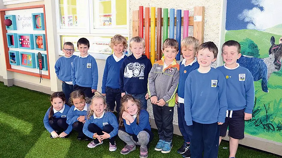 Student senses that garden is the ‘best thing' in Eyeries Image