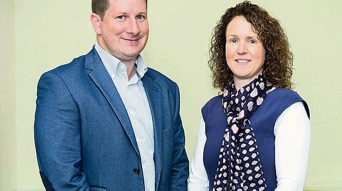 Expanding Spearline acquires former school in Skibbereen Image