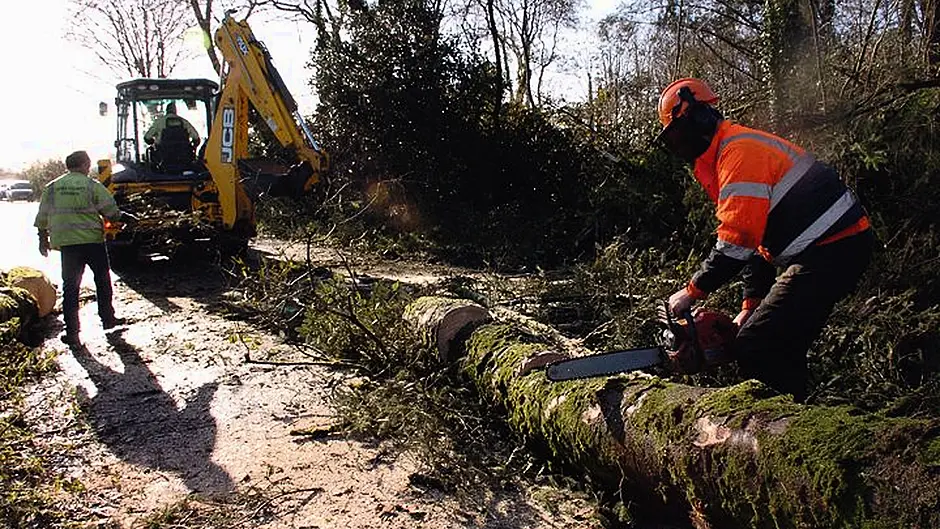 Storm-damaged phone lines are still out of order Image