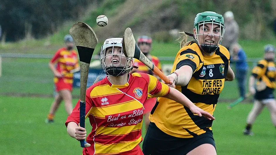 Newcestown go down fighting in Munster camogie final Image