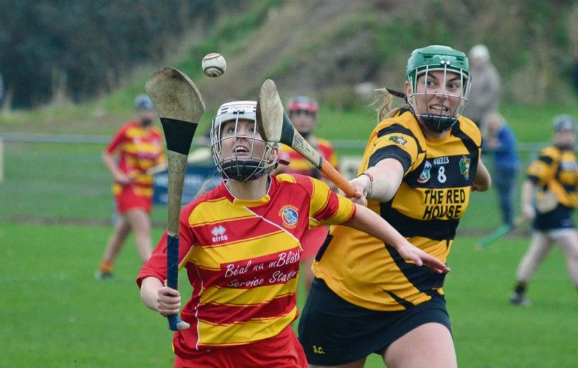 Newcestown go down fighting in Munster camogie final Image