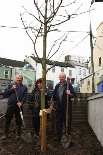 Chestnut tree is replaced in Ballydehob Image