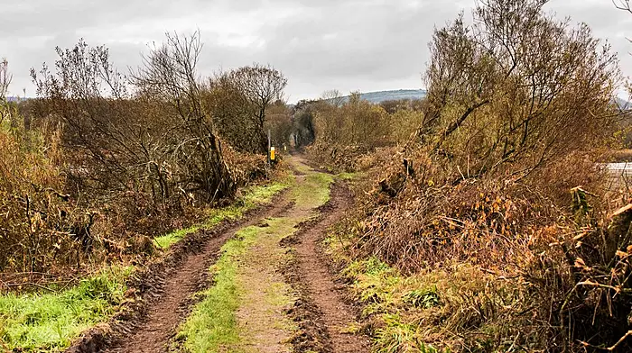 Gearagh closed this week as ESB to start remedial works today Image