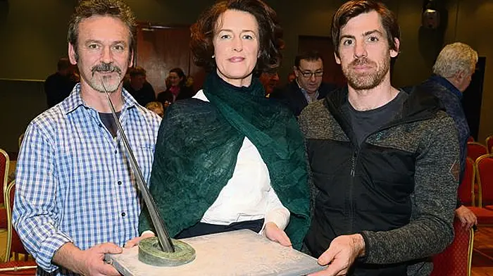 Dynamic sculpture planned as part of revamp of St Finbarr's Place in Bandon Image