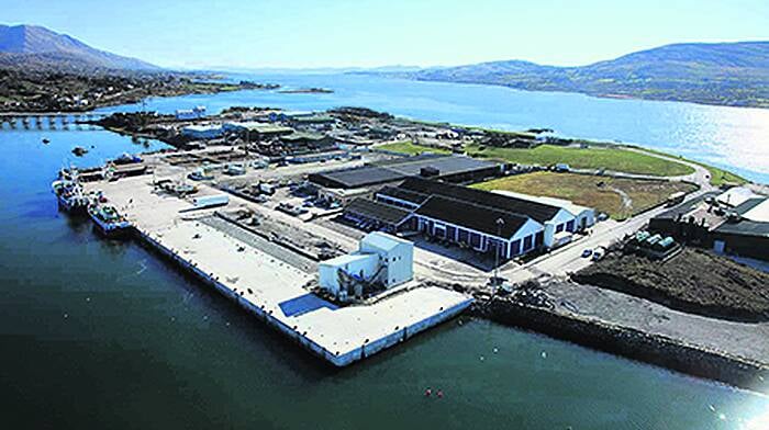 Castletownbere's new €20m pier extension a major boost for area Image