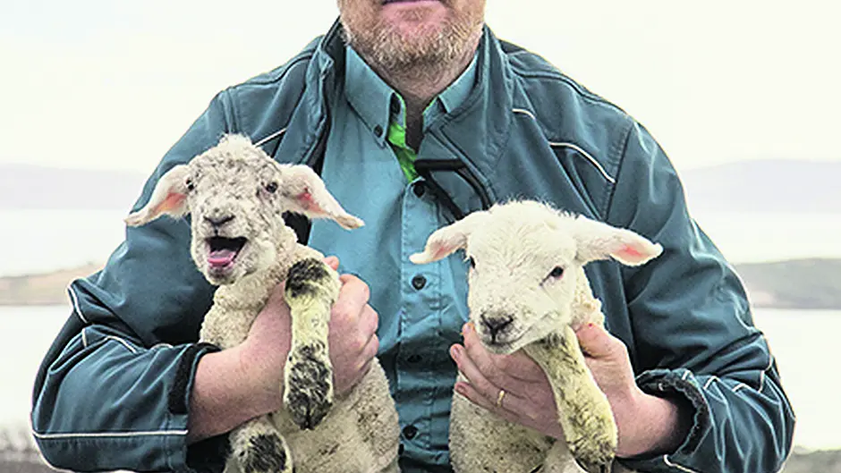 Beara postman Seamus springs into action to help neighbour deliver lambs Image