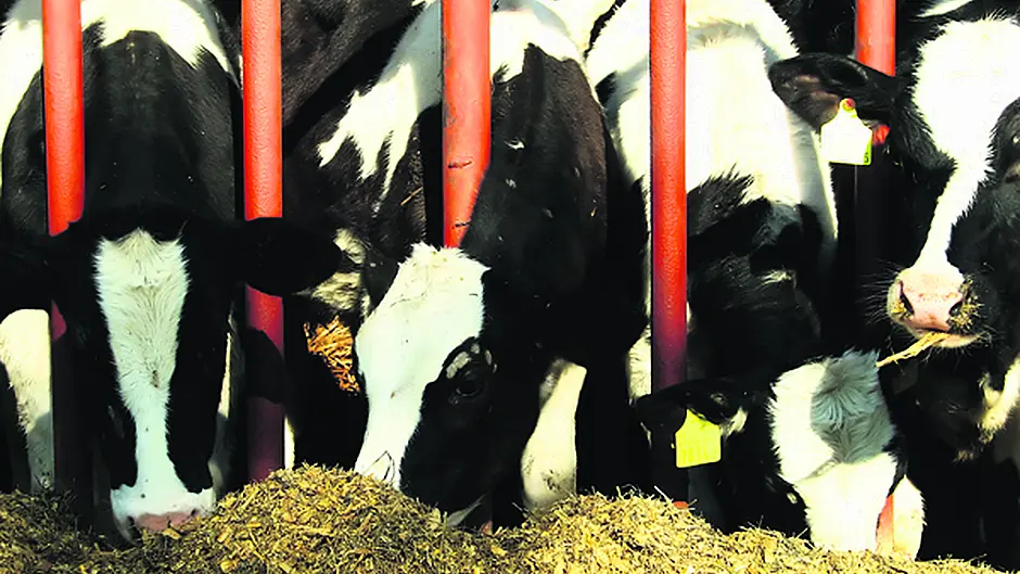 Fodder imports aim to ease the pressure on farmers Image