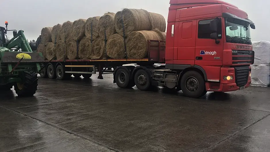 Farmers down to final days of fodder Image