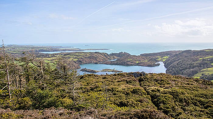 June date for storm-hit Lough Hyne wood to open Image