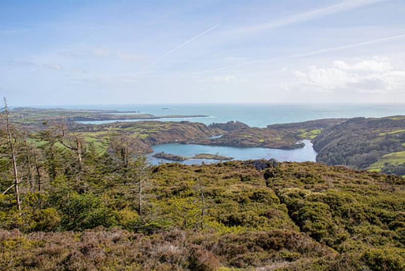 June date for storm-hit Lough Hyne wood to open Image