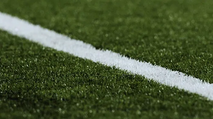 Carbery GAA exploring possibility of building a 4G pitch in West Cork Image