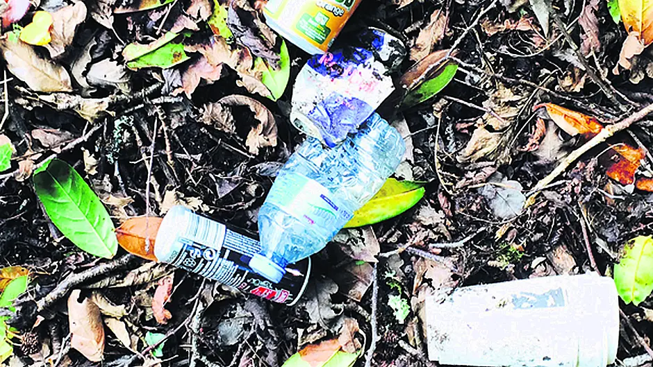 Skibbereen man praised for road litter  clean-up Image
