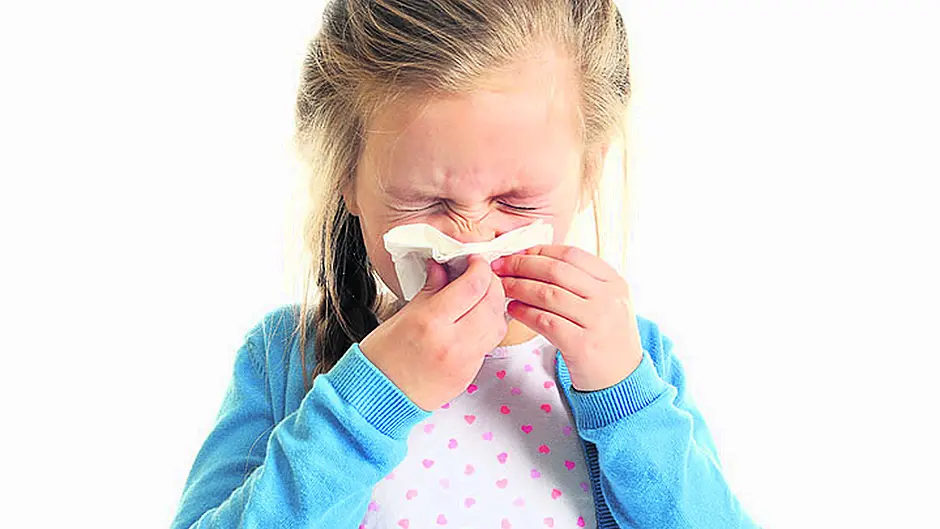 Hay fever season again Image