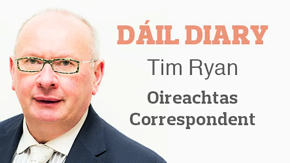Fodder crisis could have been foreseen last year, says TD Image