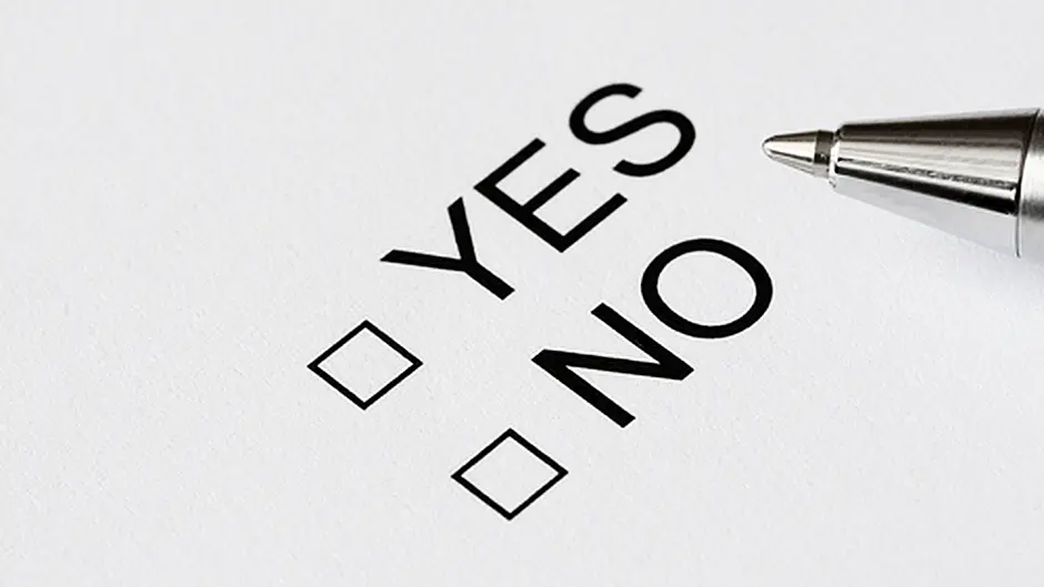 Just 2% of voters undecided on 8th referendum Image