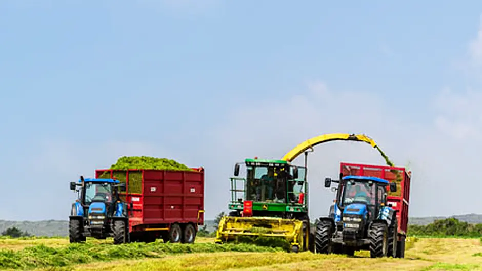 Important that first silage cut not delayed Image