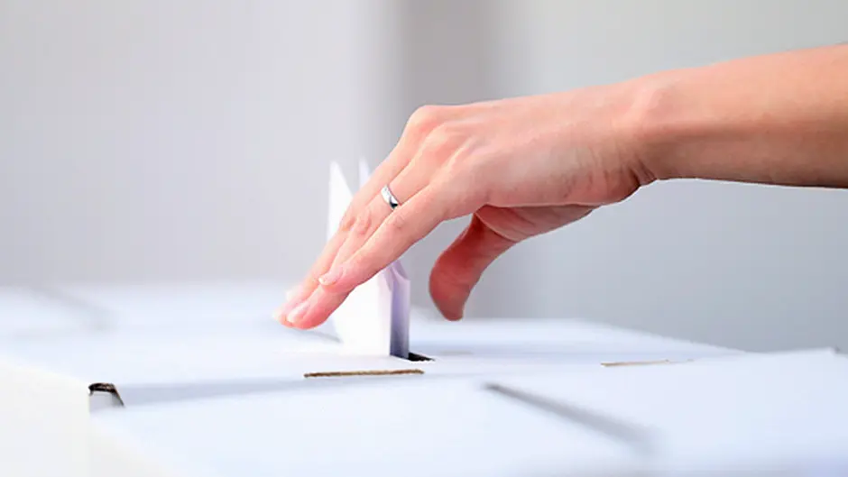 OPINION: Where is the ‘quiet  revolution' in a one-policy referendum? Image