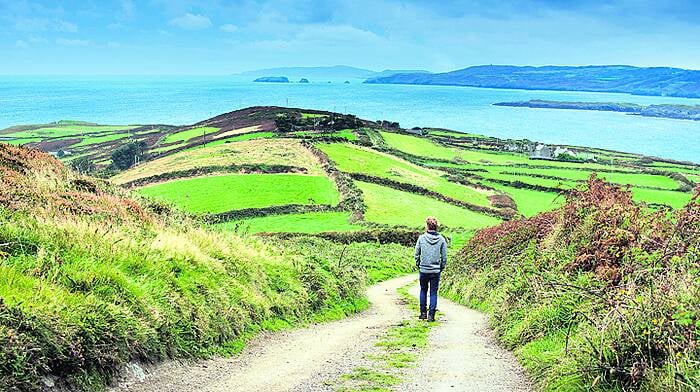 Farmer ‘sick and tired' taking camper vans out of hedges Image