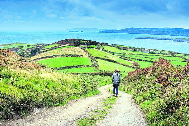 Farmer ‘sick and tired' taking camper vans out of hedges Image