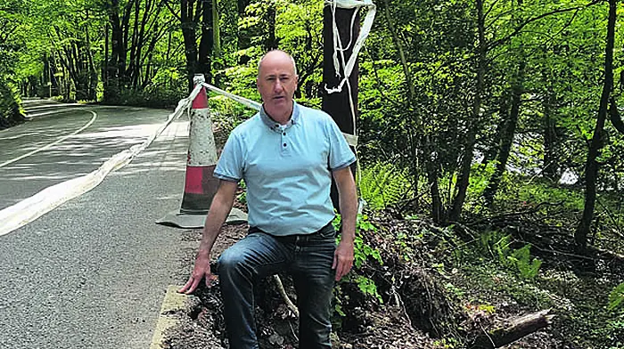 Safety barriers are needed on a ‘lethal' stretch of road – Cllr Image