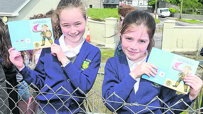 ‘Rebel' the water safety mascot is Ardfield's design Image