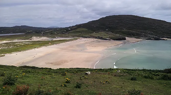Bathers advised not to swim at Barleycove Beach due to bacteria Image
