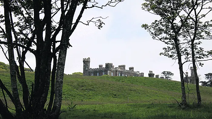 ‘We should be on the same side' says Castle owner Image