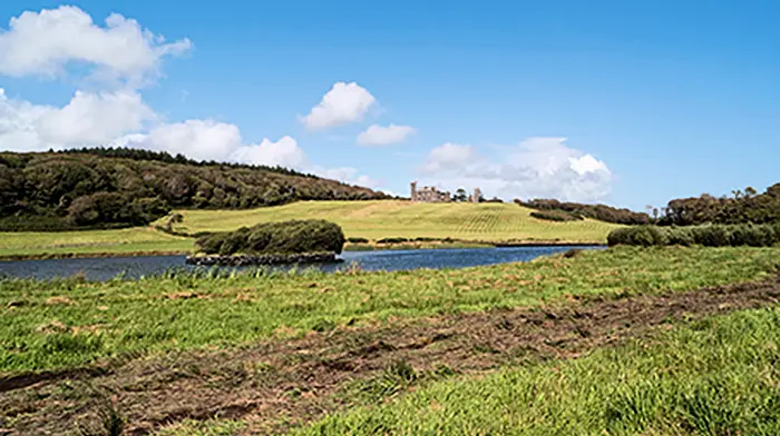 Castle Freke owner responds to Coillte's decision to abandon land sale Image