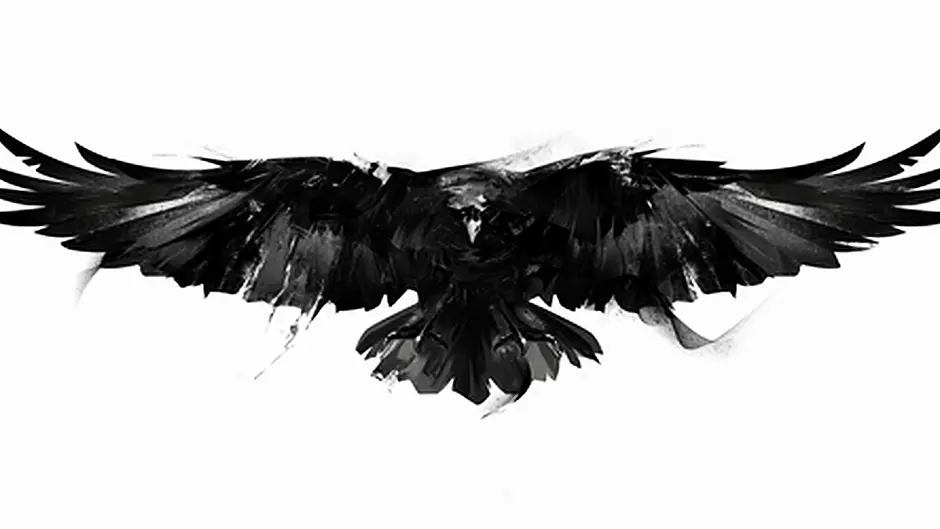 Dutch soldier's bullet ricocheted off a crow and hit couple's home Image