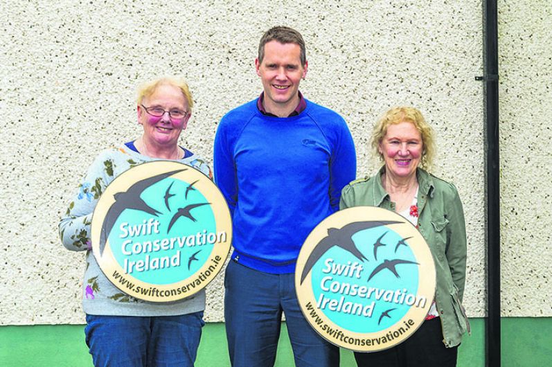 Schull's national school is taking Swift action to help conserve bird population Image