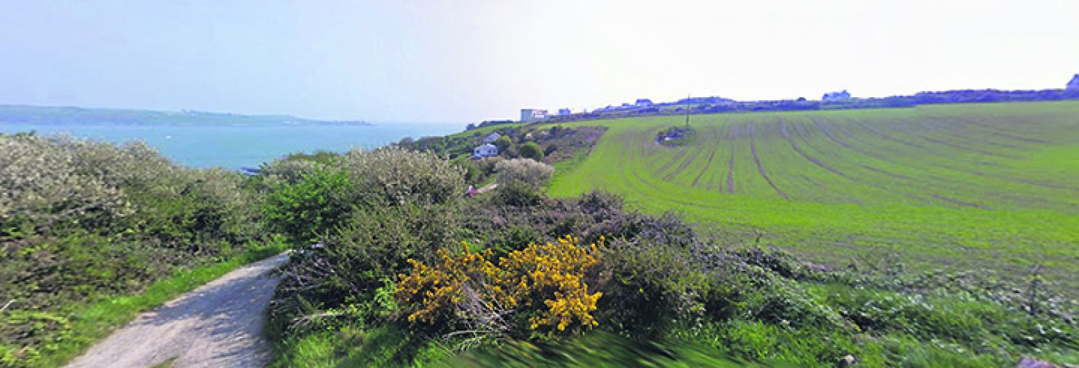 Cattle better looked after than Graball Bay locals Image