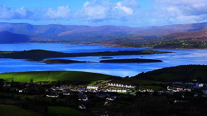 Bantry kelp campaigners shocked at plan to start harvesting Image