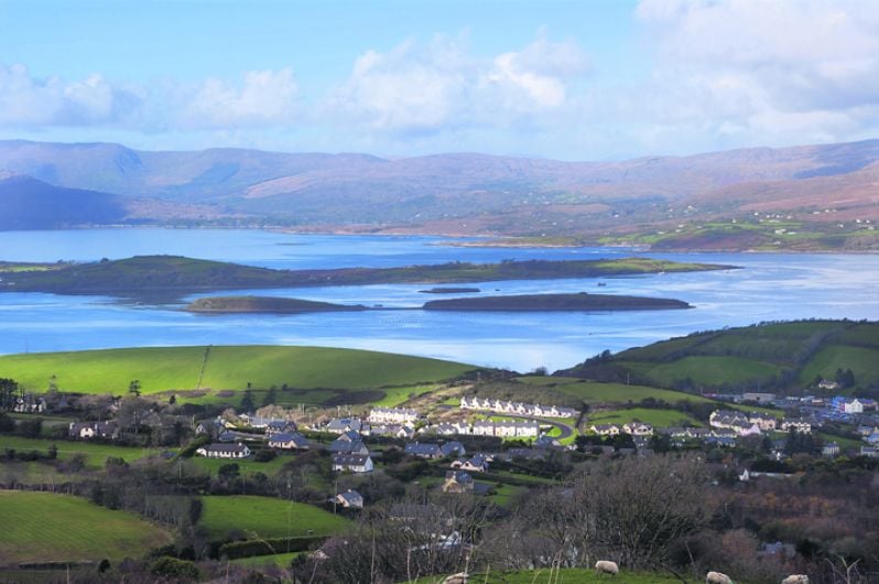 Bantry kelp campaigners shocked at plan to start harvesting Image