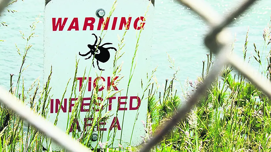 The lurking danger of Lyme disease should never be under-estimated Image
