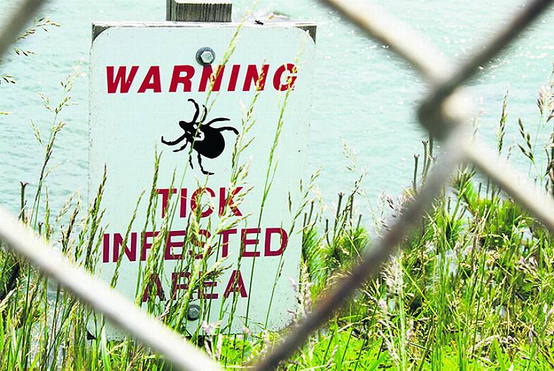 The lurking danger of Lyme disease should never be under-estimated Image