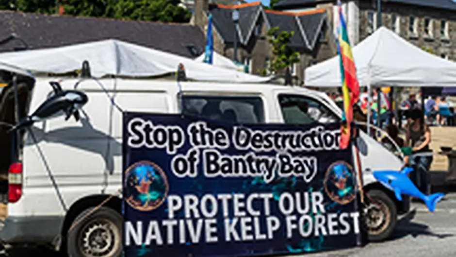 BioAtlantis: ‘No legal impediment' to harvesting kelp in Bantry Bay Image