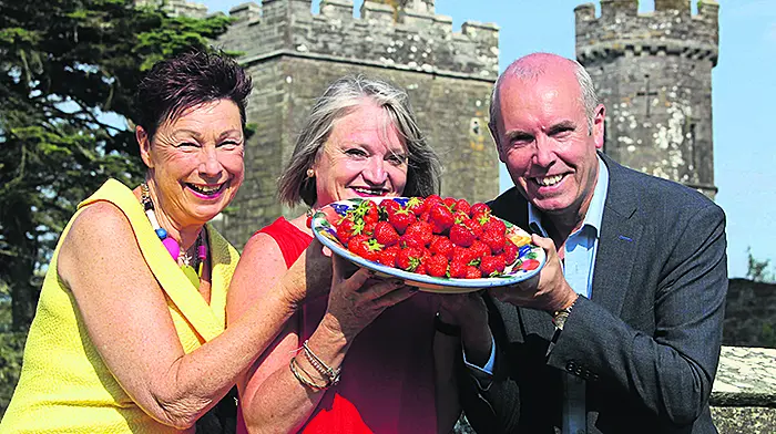 US flavour added to ‘largest food festival' in Ireland Image