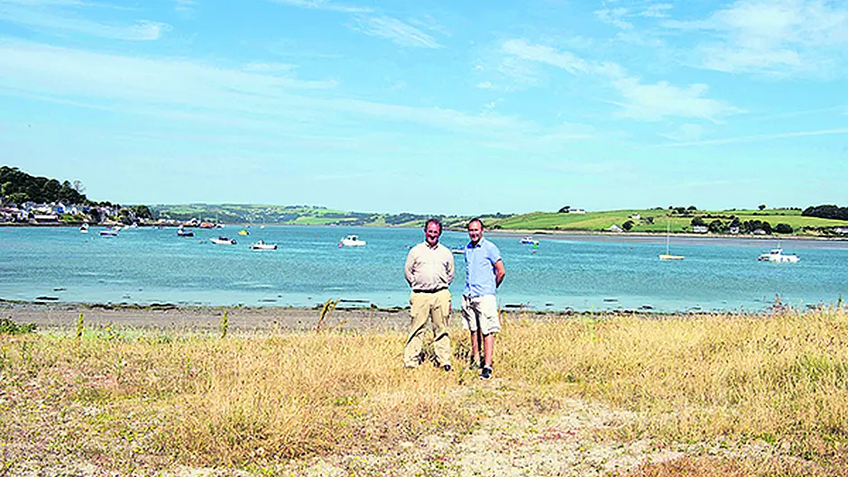 Noxious weeds threatening future of Courtmac's beach Image