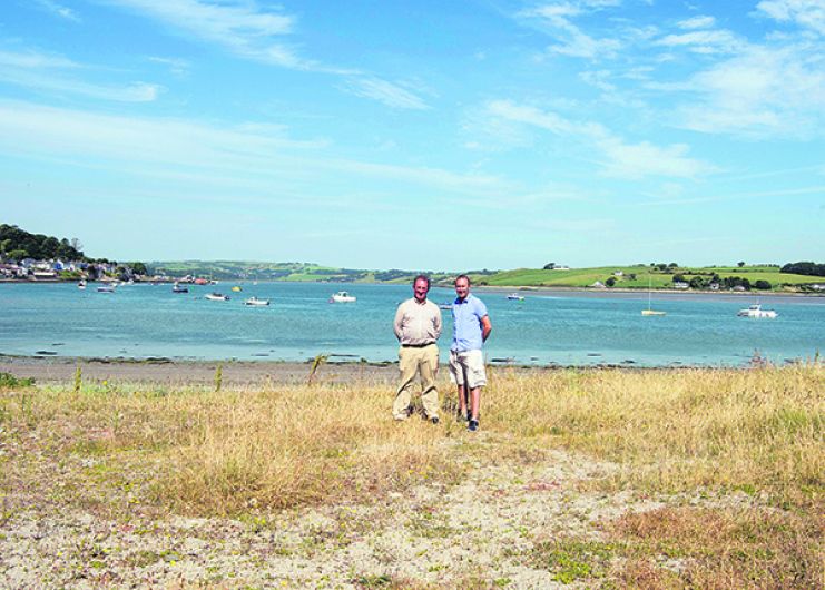 Noxious weeds threatening future of Courtmac's beach Image