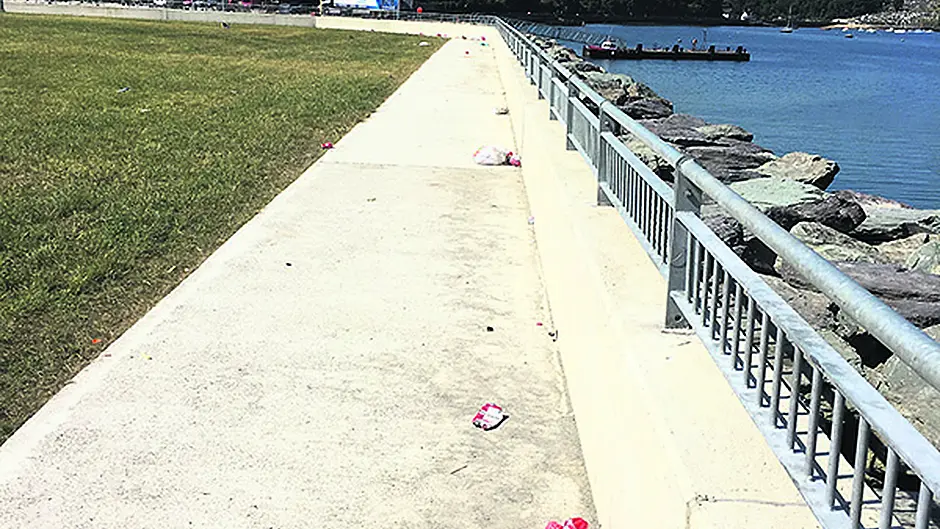 Local is ‘disgusted' and ‘embarrassed' by filth of new Bantry harbour amenity Image