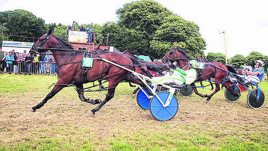 Sheehy caps off his week to remember Image