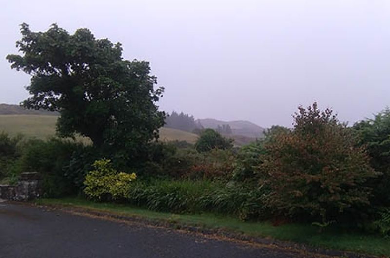 Rain arrives in West Cork on St Swithin's Day Image