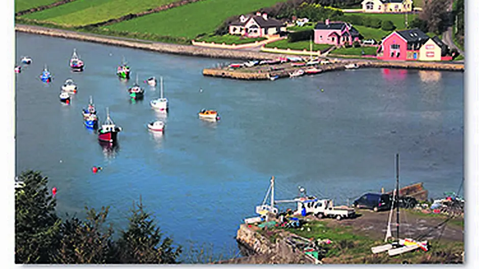 Ring say they're the ‘forgotten village' at expense of Clonakilty Image