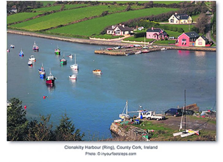 Ring say they're the ‘forgotten village' at expense of Clonakilty Image