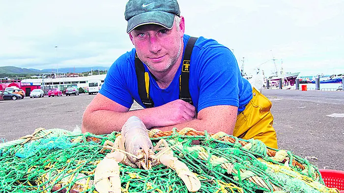 Things turn out all-white  for rare Beara lobster Image