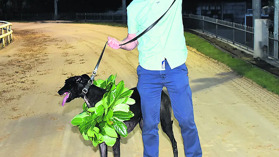 Tracton trainer Lynch celebrates Laurels' win Image